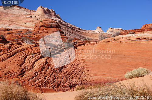 Image of The Wave, Vermilion Cliffs National Monument, Arizona, USA