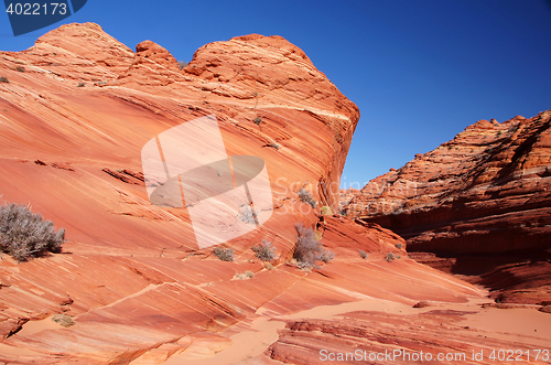 Image of The Wave, Vermilion Cliffs National Monument, Arizona, USA