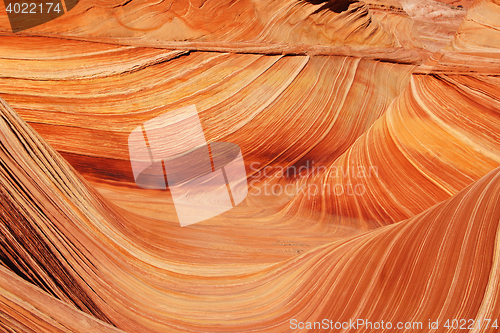 Image of The Wave, Vermilion Cliffs National Monument, Arizona, USA