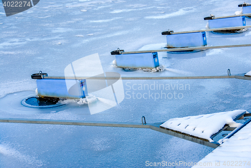 Image of  Floating dock