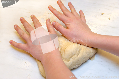 Image of Hands knead dough