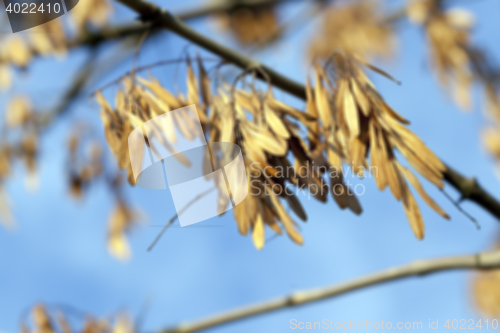 Image of autumn in the park