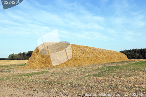 Image of stack of straw in the field