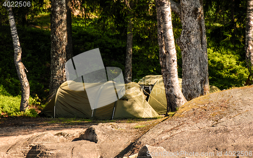 Image of Camping in the forest