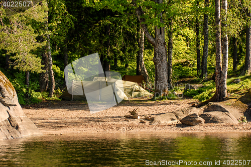 Image of Camping in the forest