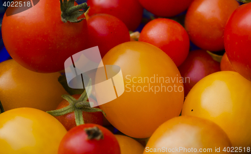 Image of cocktail tomatoes
