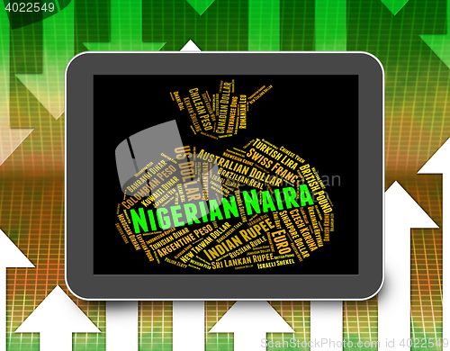 Image of Nigerian Naira Indicates Currency Exchange And Currencies