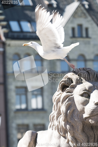 Image of Parliament Sea Gull 