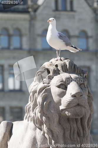 Image of Parliament Sea Gull