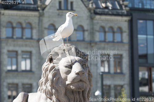 Image of Parliament Sea Gull