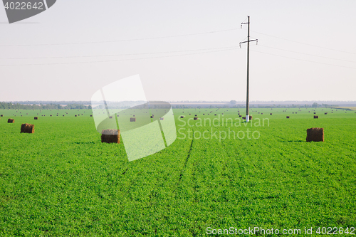 Image of hay stacks on green field