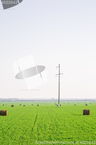 Image of hay stacks on green field