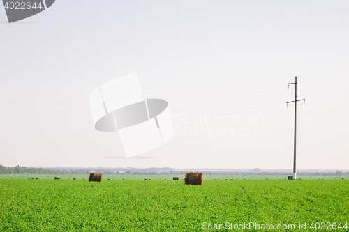 Image of hay stacks on green field