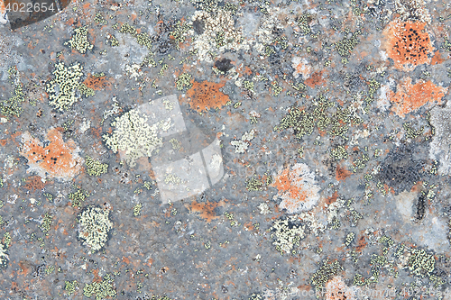 Image of Close up old rock or stone texture