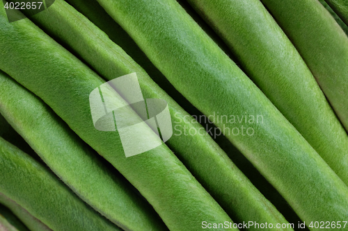 Image of Fresh green runner beans background