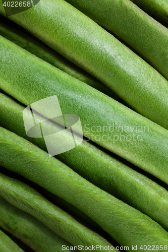 Image of Green runner beans background