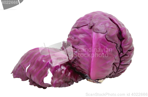 Image of Red cabbage with a leaf peeling away