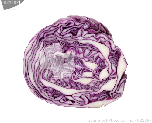 Image of Red cabbage in cross section