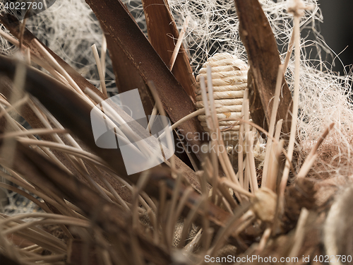 Image of different size feathers in a pattern for natural background