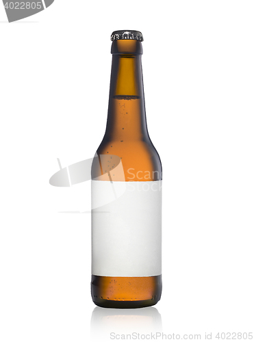 Image of bottle of lager beer witih a blank label