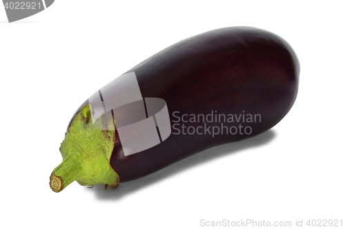 Image of Eggplant on white