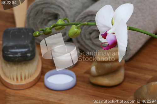 Image of orchid spa