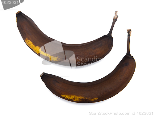 Image of Rotten banana isolated on the white background