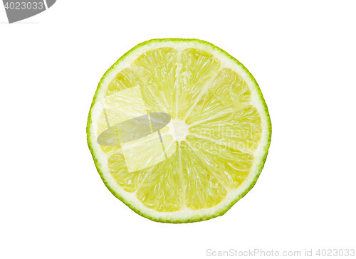 Image of Lime isolated on the white background