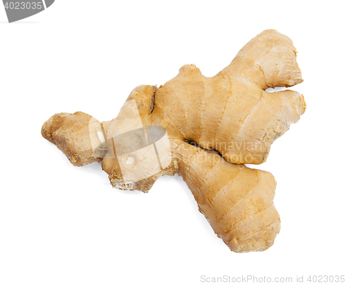 Image of Ginger isolated on the white background