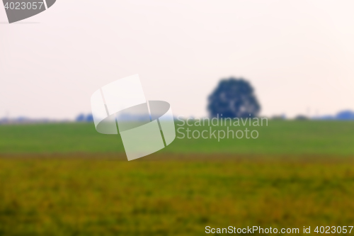 Image of Nature in autumn season