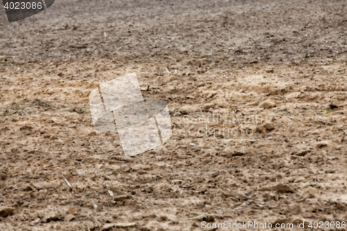 Image of plowed for sowing the land