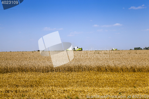 Image of Harvester in the field