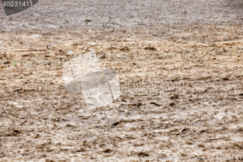 Image of plowed for sowing the land