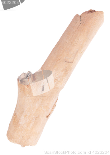 Image of stick on white