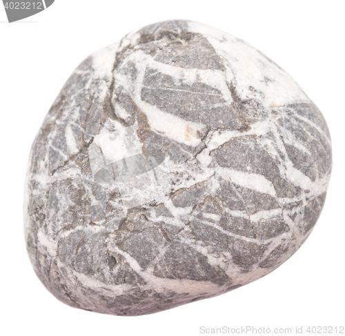 Image of pebble on white