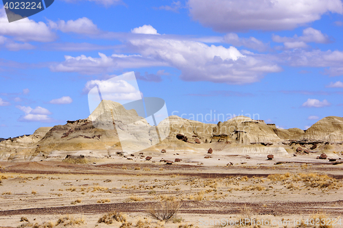 Image of Ah-Shi-Sle-Pah Wilderness Study Area, New Mexico, USA