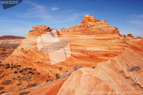 Image of The Wave, Vermilion Cliffs National Monument, Arizona, USA