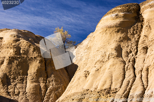 Image of Ah-Shi-Sle-Pah Wilderness Study Area, New Mexico, USA