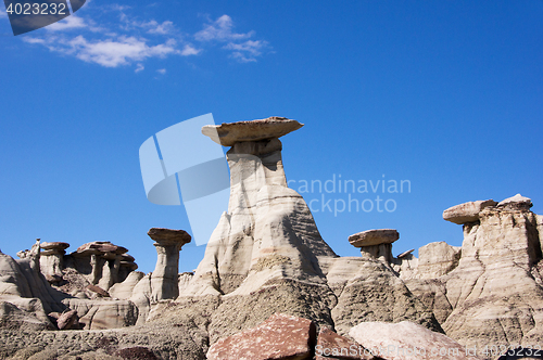 Image of Ah-Shi-Sle-Pah Wilderness Study Area, New Mexico, USA