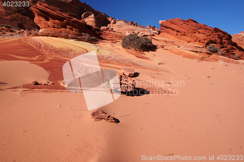 Image of The Wave, Vermilion Cliffs National Monument, Arizona, USA