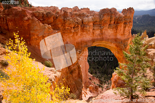 Image of Bryce Canyon, Utah, USA