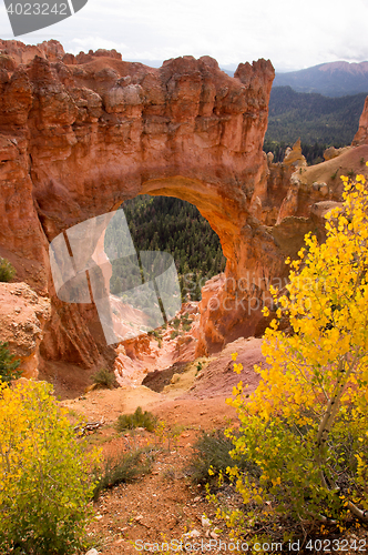 Image of Bryce Canyon, Utah, USA