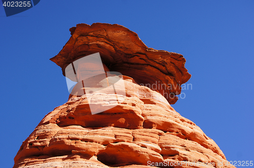 Image of The Wave, Vermilion Cliffs National Monument, Arizona, USA