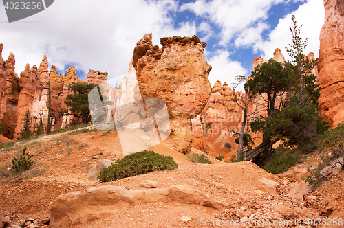 Image of Bryce Canyon, Utah, USA