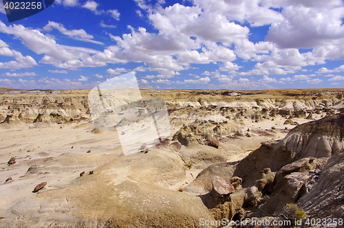 Image of Ah-Shi-Sle-Pah Wilderness Study Area, New Mexico, USA