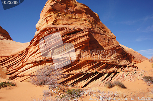 Image of The Wave, Vermilion Cliffs National Monument, Arizona, USA