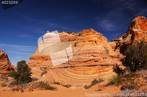 Image of The Wave, Vermilion Cliffs National Monument, Arizona, USA