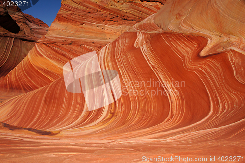 Image of The Wave, Vermilion Cliffs National Monument, Arizona, USA