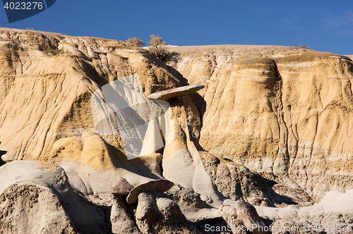 Image of Ah-Shi-Sle-Pah Wilderness Study Area, New Mexico, USA