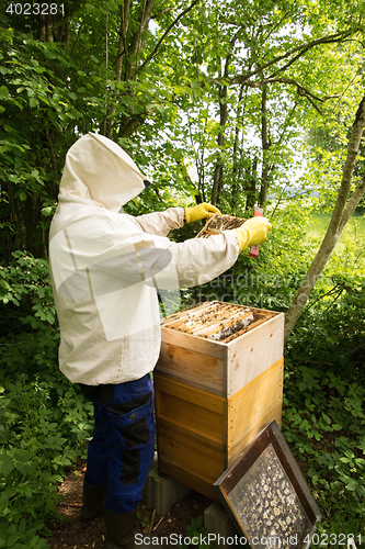 Image of Beekeeper